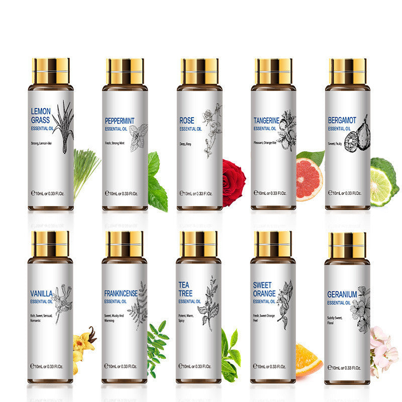 The Light of Inspiration