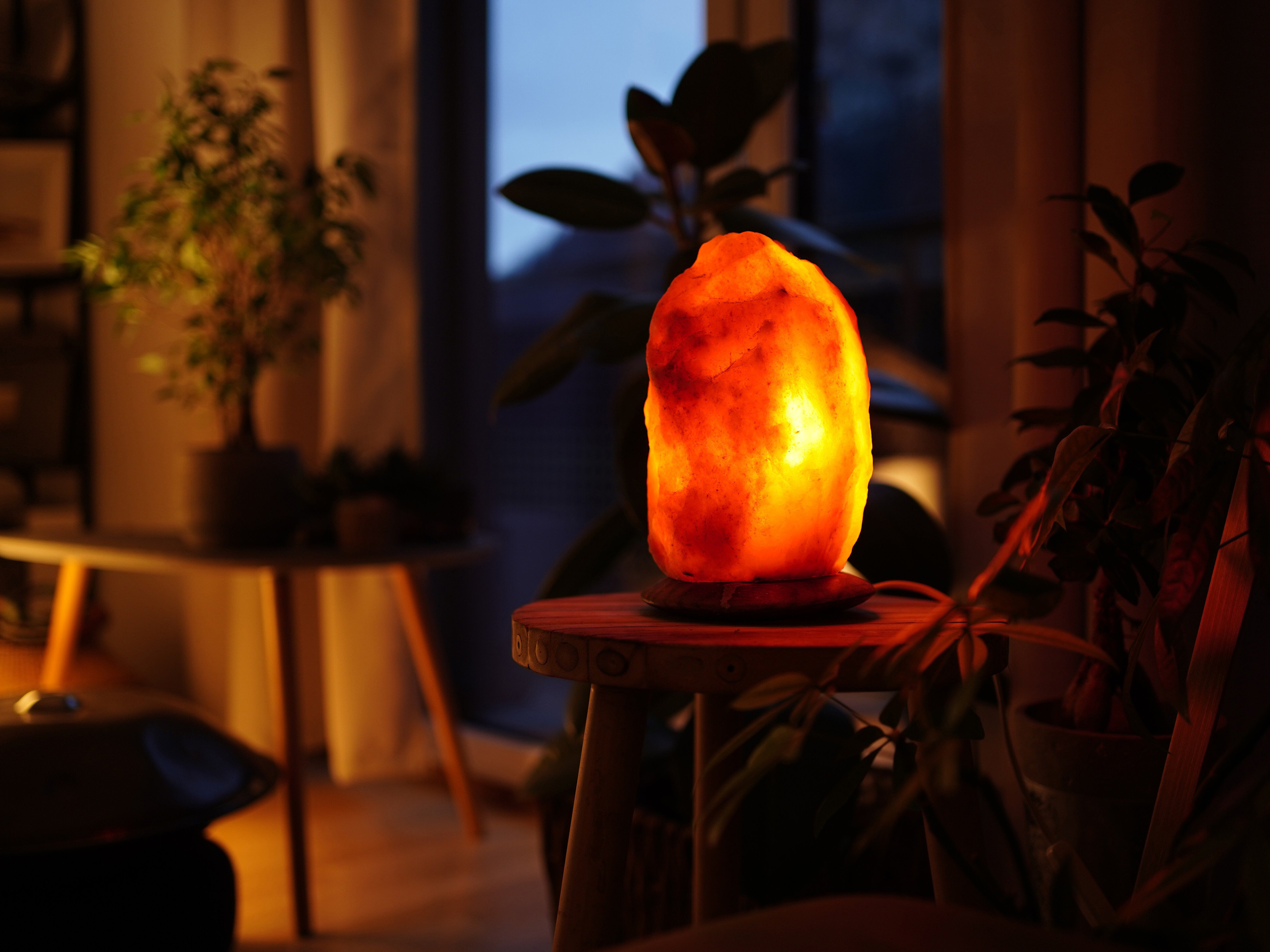 The Light of Inspiration