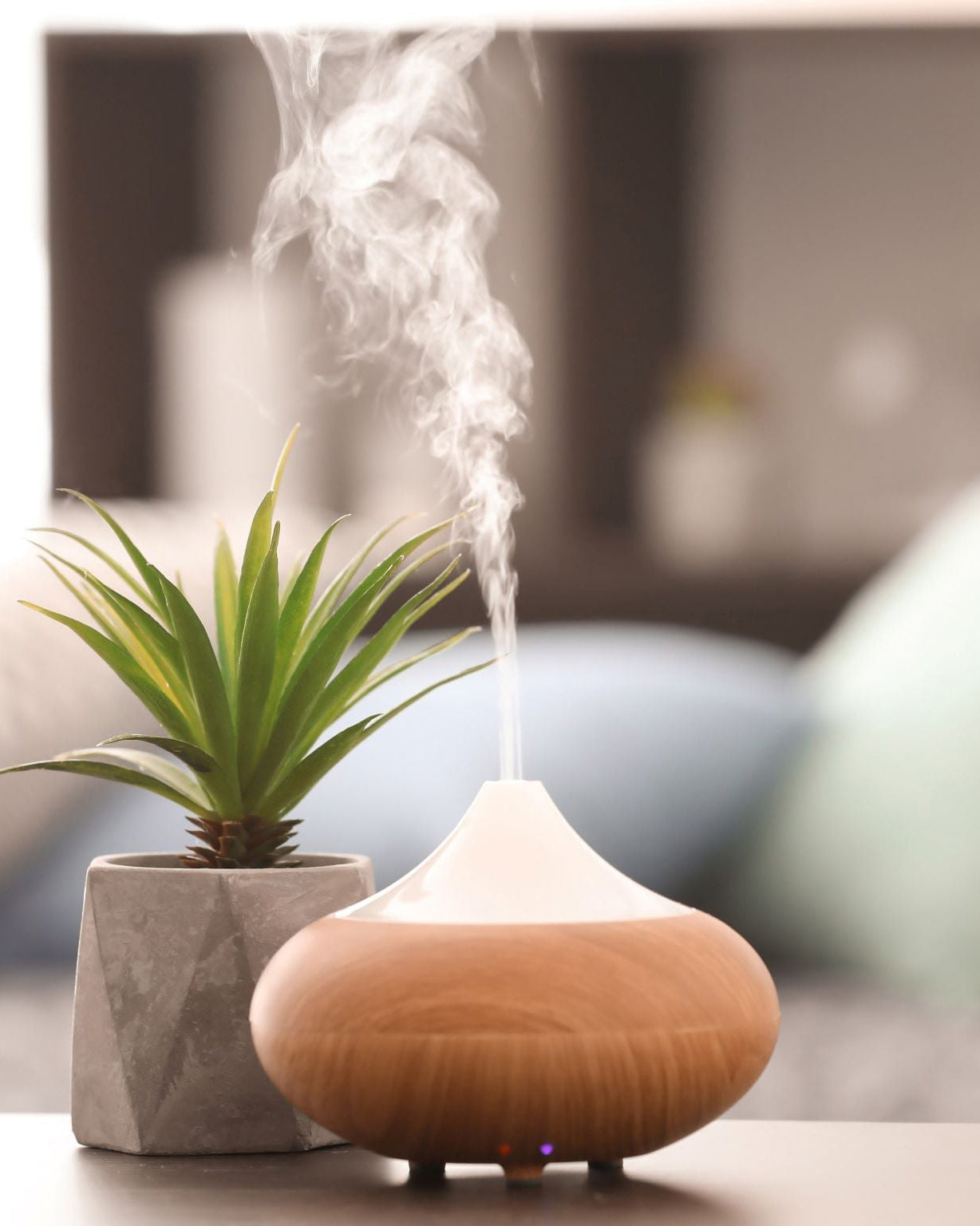 The Light of Inspiration