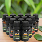 Essential Oil Set – 14x10ml for Relaxation, Sleep & Wellness