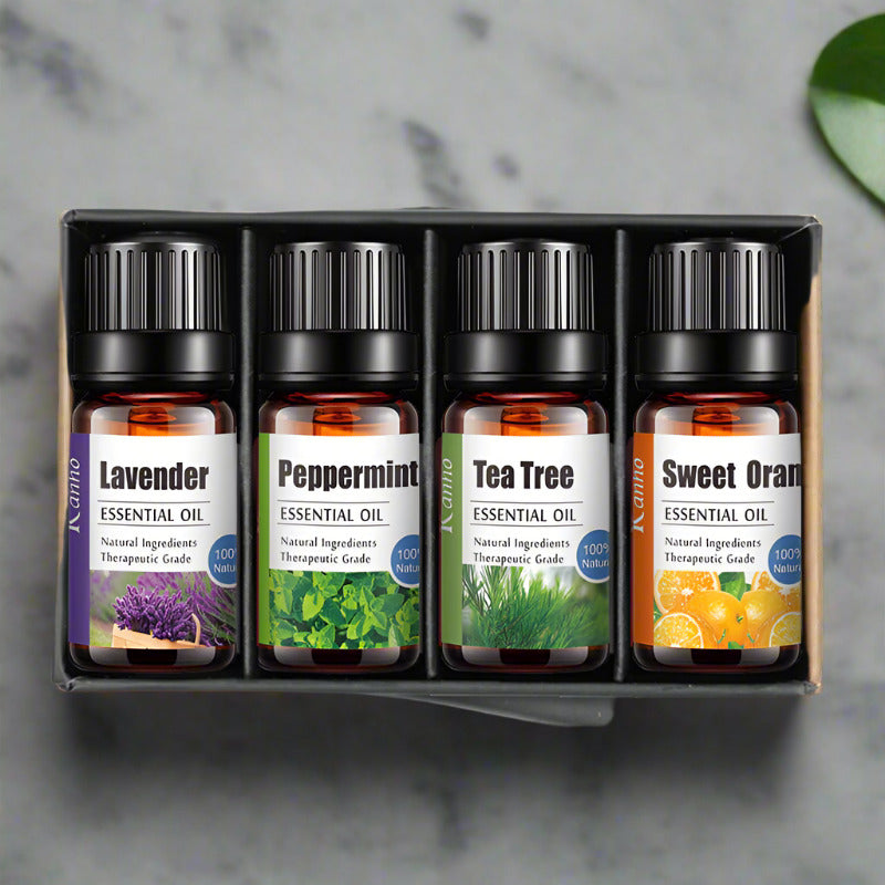 The Light of Inspiration