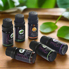 Bottle of herbal massage essential oil with natural ingredients like mint and lavender