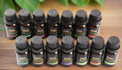 Essential Oil Set – 14x10ml for Relaxation, Sleep & Wellness