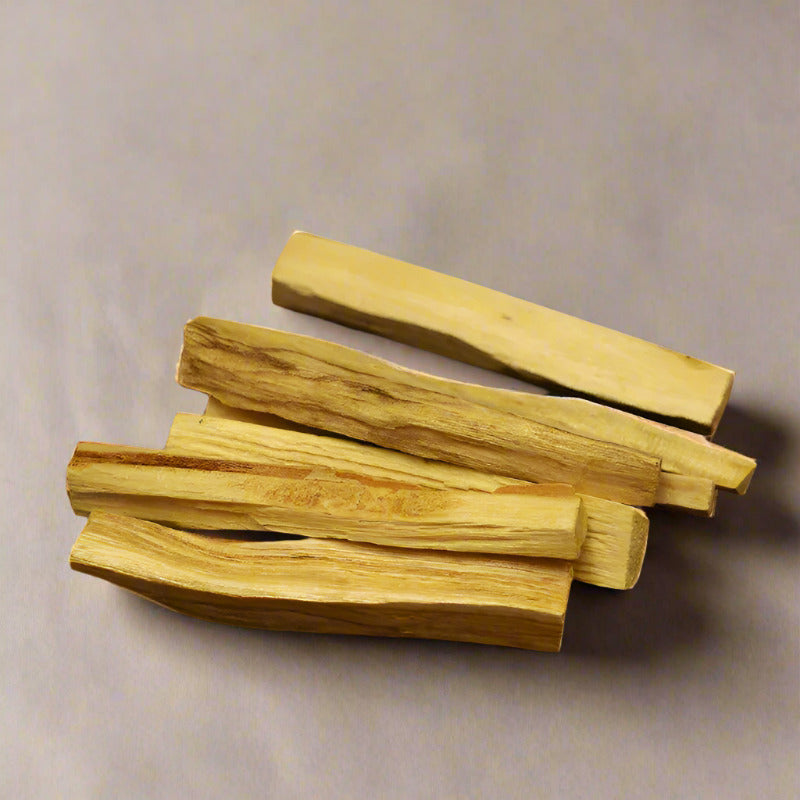 The Light of Inspiration