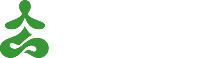 The Light of Inspiration