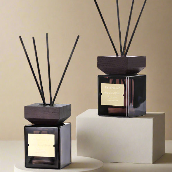 The Light of Inspiration