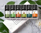 Aromatherapy 10ml essential oil six-piece set in a gift box with natural scents