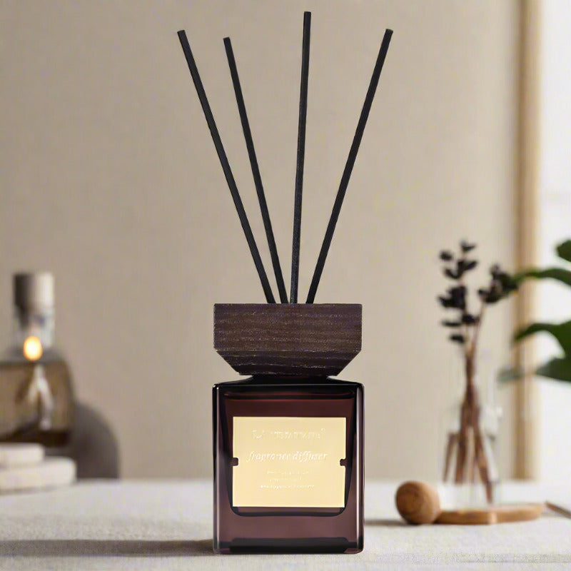 The Light of Inspiration