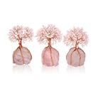 Money Tree Natural Rose Quartz Tumbled Stones - The Light of Inspiration