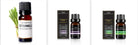 Organic Essential Oil Set - The Light of Inspiration