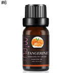 Essential oil - The Light of Inspiration
