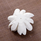 White Porcelain lotus incense burner - The Light of Inspiration