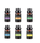 Organic Essential Oil Set - The Light of Inspiration