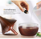 Mini Aroma Diffuser – Automatic Humidifier for Home Use - The Light of Inspiration