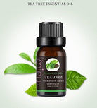 Essential oil - The Light of Inspiration
