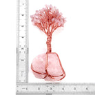 Money Tree Natural Rose Quartz Tumbled Stones - The Light of Inspiration