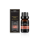 Organic Essential Oil Set - The Light of Inspiration