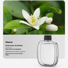 Essential Oil Refill – V01pro Aroma Diffuser - The Light of Inspiration