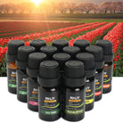Essential Oil Set for Diffusers - The Light of Inspiration
