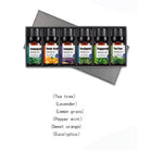 Essential Oil Set - The Light of Inspiration