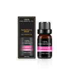 Organic Essential Oil Set - The Light of Inspiration