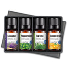 Essential Oil Set - The Light of Inspiration