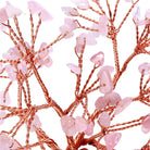 Money Tree Natural Rose Quartz Tumbled Stones - The Light of Inspiration