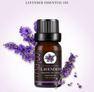 Essential oil - The Light of Inspiration