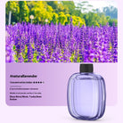 Essential Oil Refill – V01pro Aroma Diffuser - The Light of Inspiration