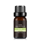 Organic Essential Oil Set - The Light of Inspiration