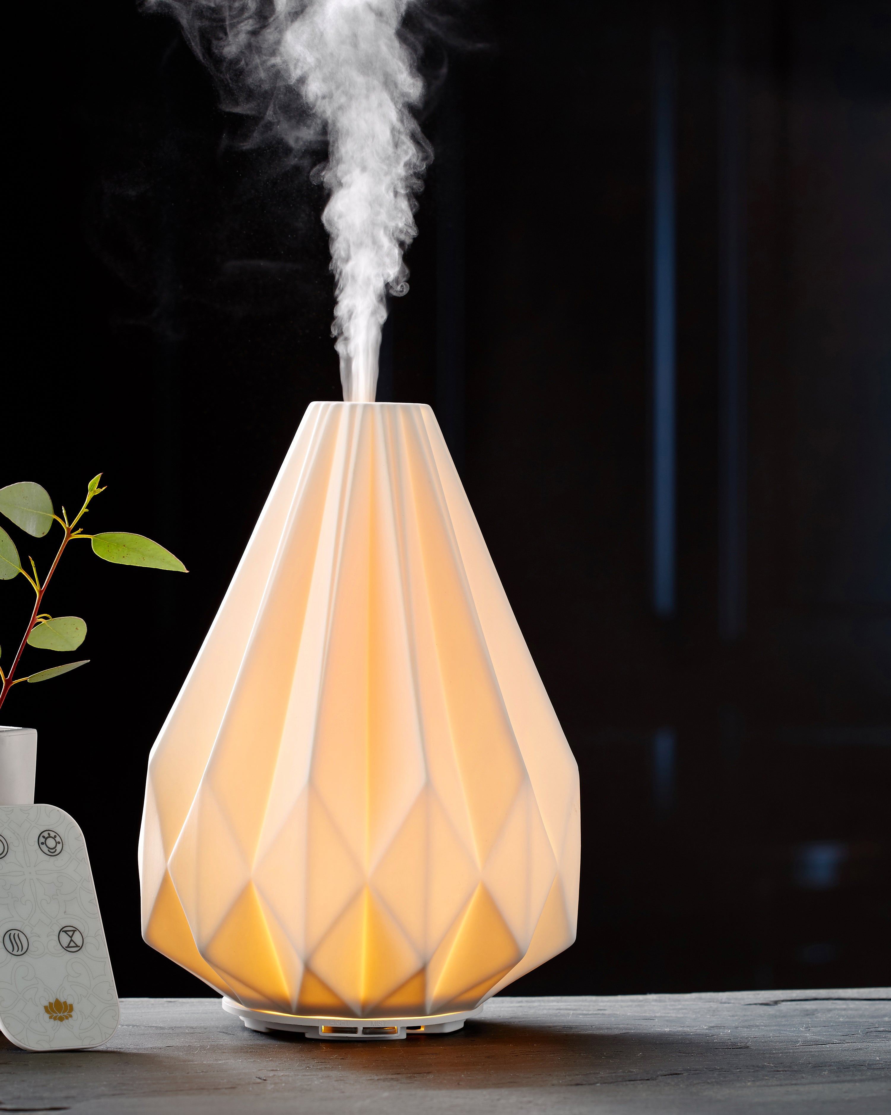The Light of Inspiration