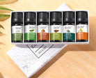 Aromatherapy Essential Oil - The Light of Inspiration