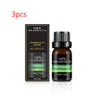 Organic Essential Oil Set - The Light of Inspiration