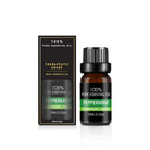 Organic Essential Oil Set - The Light of Inspiration