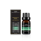 Organic Essential Oil Set - The Light of Inspiration