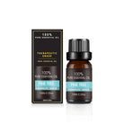 Organic Essential Oil Set - The Light of Inspiration